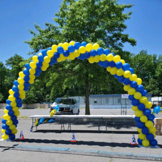 30ft arch (choose colors and put in notes at check out)