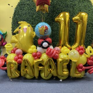 Pokémon Pokeball custom display put age/name in notes at checkout