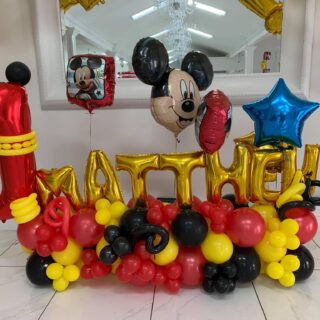 Mickey Display (72 hours notice)