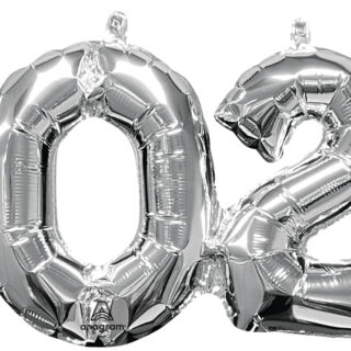 2023 Silver Jumbo Number arched