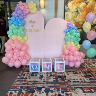 Pastel double wall pastel 1st bday