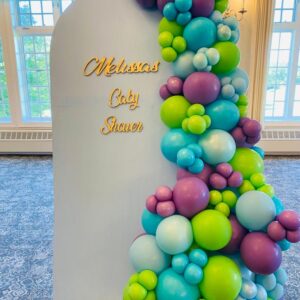 Monster High balloon garland with backdrop wall